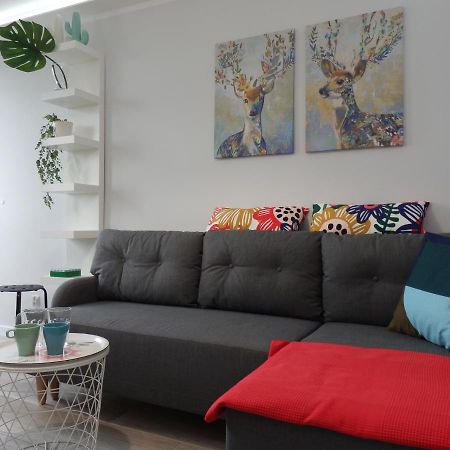 Apartament Super Punkt Żabianka /Sopot Gdańsk Zewnętrze zdjęcie